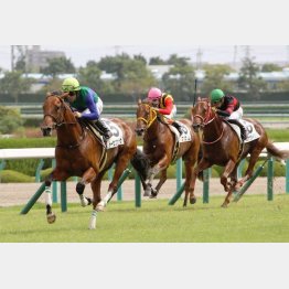 未勝利戦で圧巻の走り