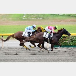 好タイムで五百万勝ち