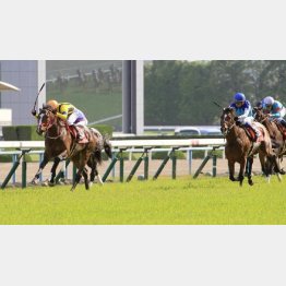 中だるみペースの京都新聞杯を2番手から押し切った