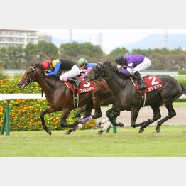 神戸新聞杯ではワグネリアンと0秒1差