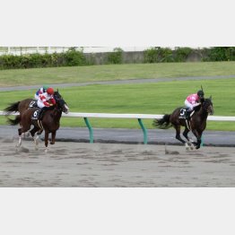 中京の白川郷Sでは3馬身半差の圧勝