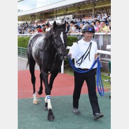佐渡S勝ちで厩務員さんも笑顔