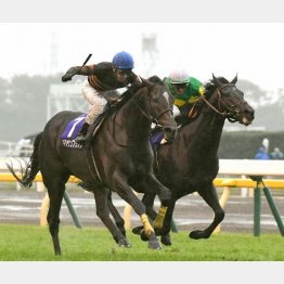 昨年は超不良馬場の激戦をキタサンブラックが制した