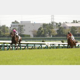 前走は6馬身差の圧勝だった