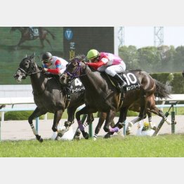小崎とのコンビでオープン勝ち