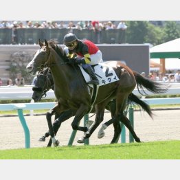 鮮やかに抜け出して初勝利