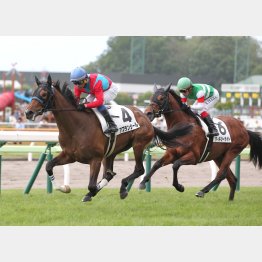 新馬戦は好時計勝ち
