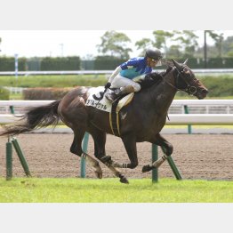 中京の未勝利勝ちは②着に2馬身差