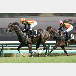 アスター賞は上がり33秒5をマーク