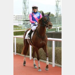 幸とのコンビで現級勝ち