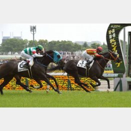 東京千四で五百万勝ち