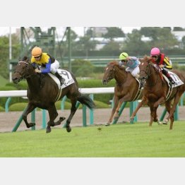 上がり33秒4で新馬勝ち