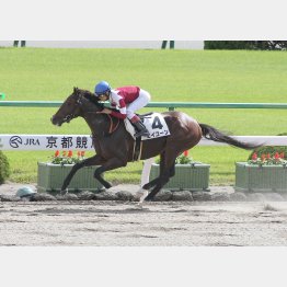 前走は持ち時計を1秒4も短縮した