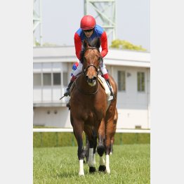 差し馬場で突き抜ける