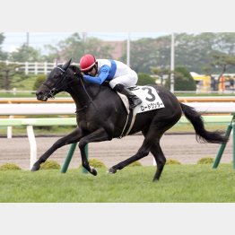 デビュー3戦目で勝ち上がり