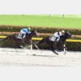 今度は2勝している東京へ舞台替わり