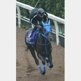 坂路で軽快な動きのサングレーザー