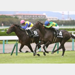 西宮Sを快勝