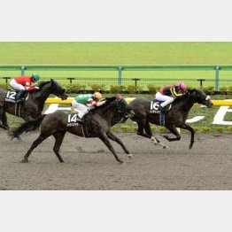 小金井特別は0秒4差③着(左)