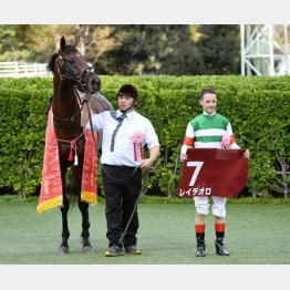 秋初戦のオールカマーを快勝