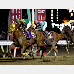 昨年の勝ち馬サウンドトゥルーも出走