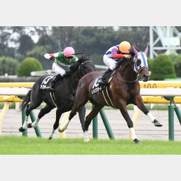 六社特別で3連勝を達成