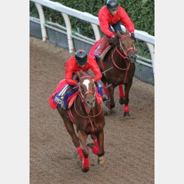 マテラスカイ(前)は50秒3