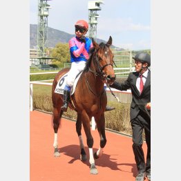 好位からスムーズに押し切る