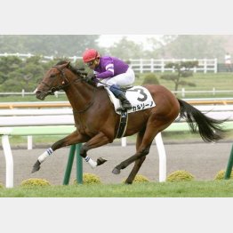 上がり最速で未勝利勝ち
