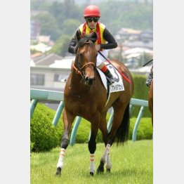 新馬戦は圧巻