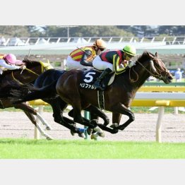 久々で臨んだ本栖湖特別勝ち