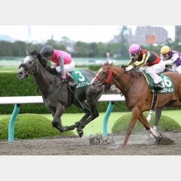 シリウスSで重賞初制覇