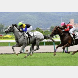新馬戦は3番手から押し切り