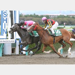 シリウスSは過去の勝ち馬と比較してもハイレート