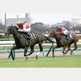 初風特別を快勝