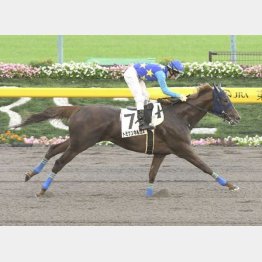 16年秋に東京で五百万勝ち