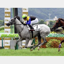新馬戦は快勝
