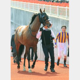 芝スプリントの適性はある