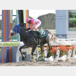 京都コースはGⅢ勝ちを含め5勝