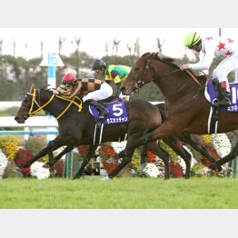 昨年は9番人気の4歳馬クロコスミアが②着