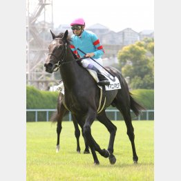 2走前はレコード勝ちしたほど
