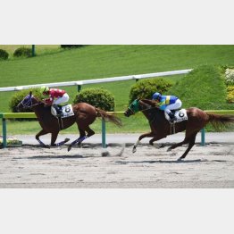福島千七で初勝利