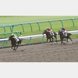 2戦目で大変身