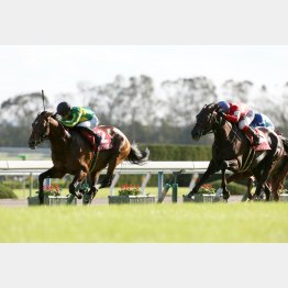 京都大賞典はサトノダイヤモンドの②着