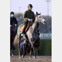 古馬と2㌔のアドバンテージは大きい