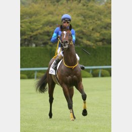 大威張り