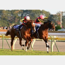 ジェンティルは怪物オルフェーヴルに競り勝った