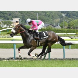 福島の南相馬特別勝ち