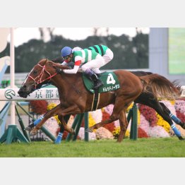 この舞台はラジオNIKKEI杯2歳Sで重賞勝ち