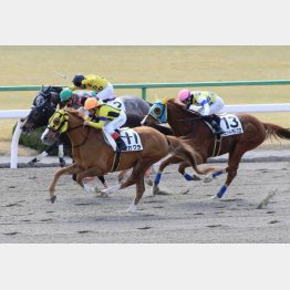 2月京都でオープン③着